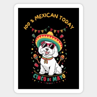 Bichon Frise Dog Cinco de Mayo Sticker